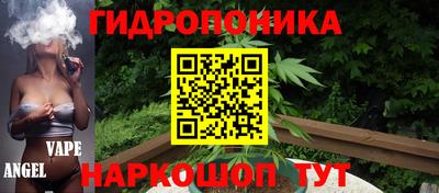 индика Кандалакша