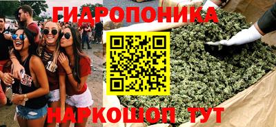 индика Кандалакша