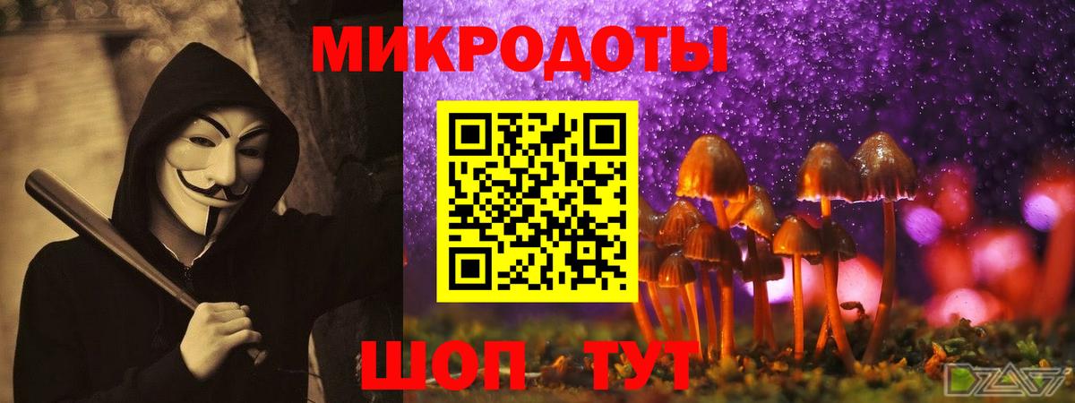 Галлюциногенные грибы GOLDEN TEACHER  Вход с VPN  Галлюциногенные грибы ЛСД  цена наркотик  Кудымкар 