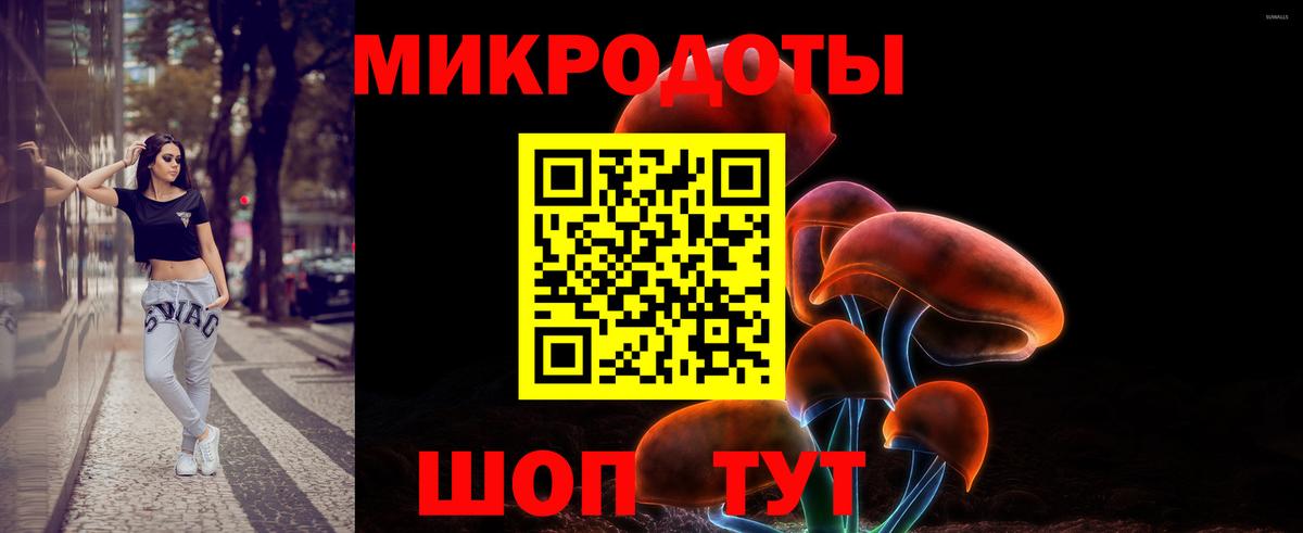 Галлюциногенные грибы Psilocybine cubensis Кудымкар